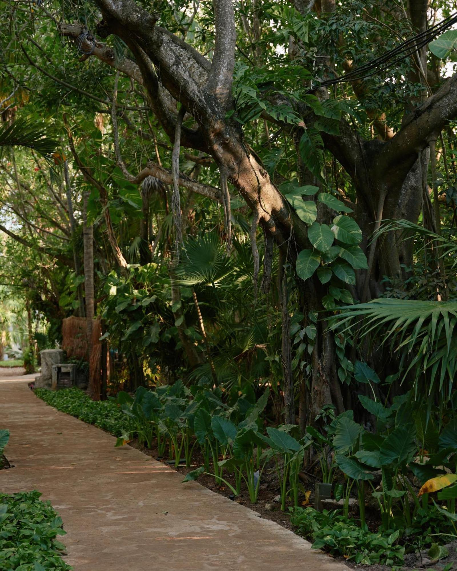 Maroma, A Belmond Hotel, Riviera Maya Punta Maroma Exterior foto